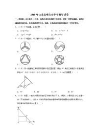 2019年人教版山东省枣庄市中考数学试卷及答案解析