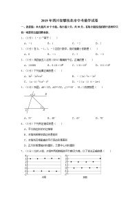 2019年人教版四川省攀枝花市中考数学试卷及答案解析