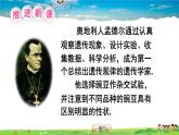滬科版數(shù)學九年級下冊  26.4 綜合與實踐 概率在遺傳學中的應用【教學課件】
