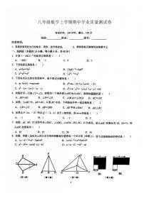 八年级数学上期中测试卷（不含答案）