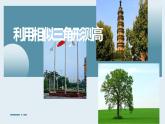 北师大版九年级数学上册《利用相似三角形测高》课件