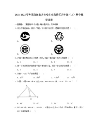 黑龙江省齐齐哈尔龙沙区2021-2022学年八年级上学期期中考试数学试题无答案