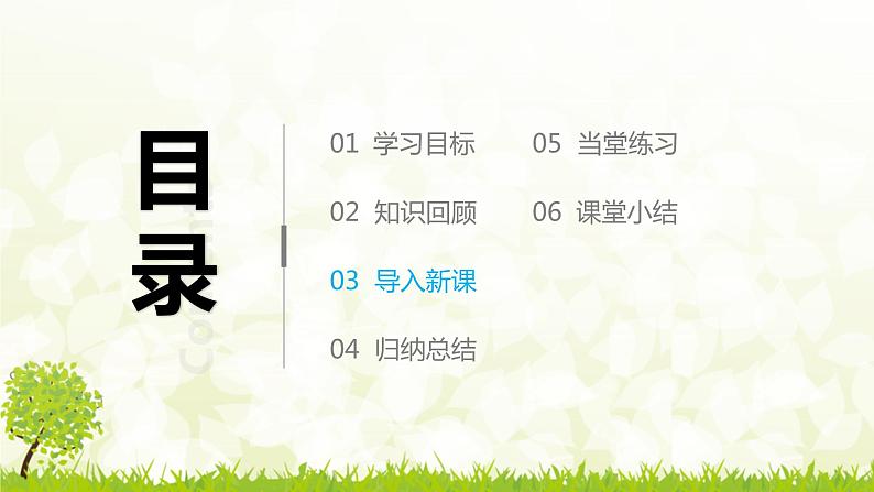 北师大版七年级数学下册 1.3.2   用科学记数法表示小于1的正数 课件+练习06