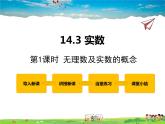 冀教版数学八年级上册 14.3实数第1课时【教学课件+教案】
