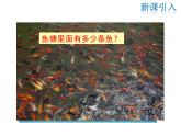 2021-2022學年度華師版九年級數(shù)學下冊課件28.2 用樣本估計總體