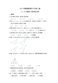 初中数学2.1 三角形精品精练