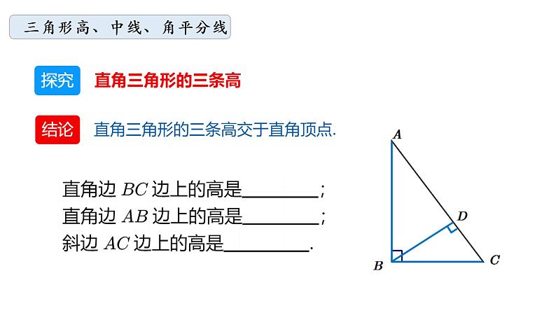 华师大版数学七下 9.1.1（2）三角形三线课件PPT+练习07