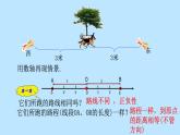 北师大版七年级数学上册 2.3 绝对值(1)（课件）