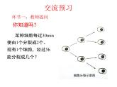 北师大版七年级数学上册 2.9 《有理数的乘方1》（课件）
