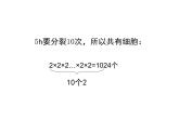 北师大版七年级数学上册 2.9 《有理数的乘方1》（课件）