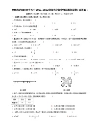 安徽省合肥市庐阳区四十五中2021-2022学年七年级上学期期中考试数学【试卷+答案】　