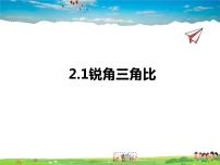 初中数学青岛版九年级上册2.1 锐角三角比图文课件ppt