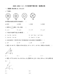 人教版·吉林省白山市临江2020-2021学年度第一学期期末八年级数学试卷（含答案）