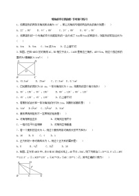 (通用版)中考数学二轮专题复习《特殊的平行四边形》专项练习(含答案)