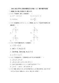 上海市普陀区2021-2022学年九年级上学期期中考试数学试卷（word版 含答案）