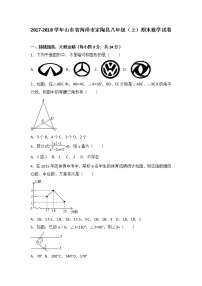 山东省菏泽市定陶县2017-2018学年八年级（上）期末数学试卷（解析版） - 副本