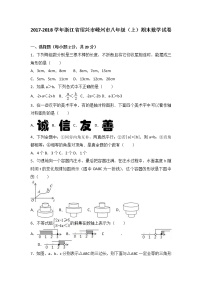 浙江省绍兴市嵊州市2017-2018学年八年级（上）期末数学试卷（解析版） - 副本