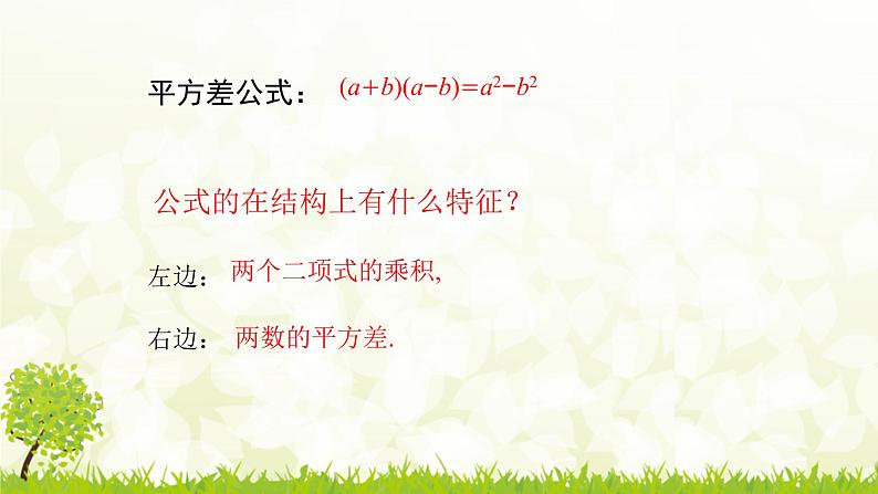 北师大版七年级数学下册 1.5.2   平方差公式的应用 课件+练习05