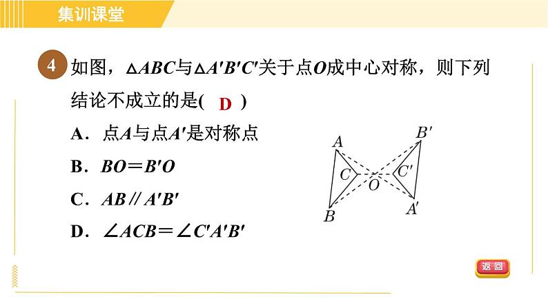 北师版八年级下册数学 第3章 集训课堂 测素质 中心对称与图案设计 习题课件第7页