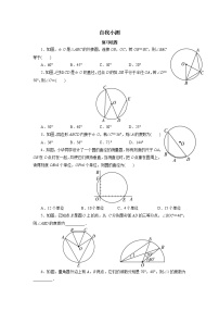 九年级上册24.1.4 圆周角精品同步达标检测题