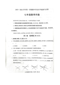 山东省聊城市阳谷县2021-2022学年七年级上学期期中考试数学试题（word版 含答案）