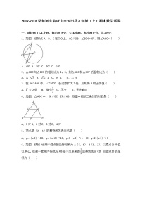 河北省唐山市玉田县2021届九年级（上）期末数学试卷（解析版）