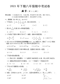 湖南省怀化市通道侗族自治县2021-2022学年八年级上学期期中考试数学【试卷+答案】