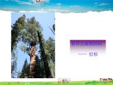 湘教版數(shù)學(xué)九年級(jí)上冊(cè)  3.5相似三角形的應(yīng)用【課件】