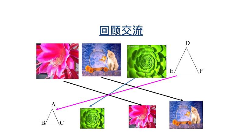 青岛版数学九年级上册 1.1相似多边形【课件】04