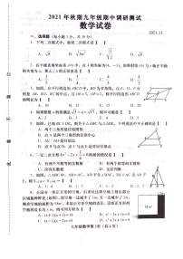 河南省南阳市镇平县2021-2022学年九年级上学期期中考试数学试卷