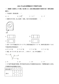 2021年山东省聊城市中考数学真题试（原卷+解析）