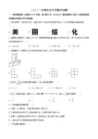 2021年黑龙江省绥化市中考数学真题试（原卷+解析）