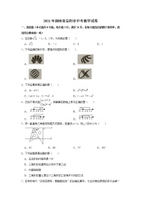 2021年湖南省岳阳市中考数学真题试卷  (含解析)