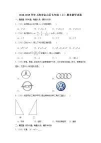 2018-2019学年上海市金山区七年级（上）期末数学试卷