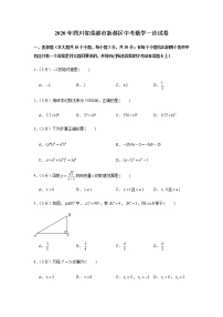 2020年四川省成都市新都区中考一诊数学试卷（含答案）