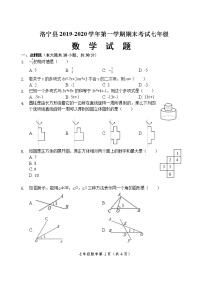 河南省洛阳市洛宁县2019-2020学年七年级上学期期末考试数学试题