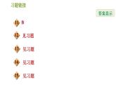 人教版七年级下册数学 第5章 5.1.4  同位角、内错角、同旁内角 习题课件