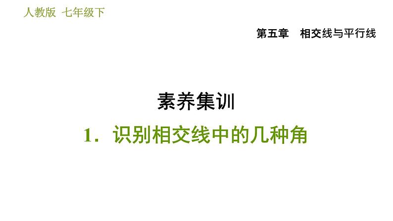 人教版七年级下册数学 第5章 素养集训  1.识别相交线中的几种角 习题课件第1页