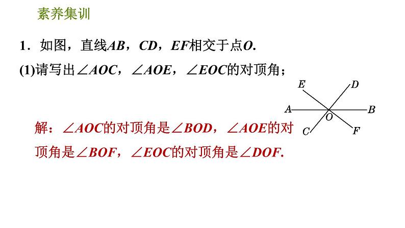 人教版七年级下册数学 第5章 素养集训  1.识别相交线中的几种角 习题课件第3页