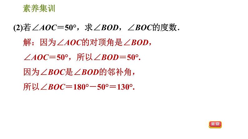 人教版七年级下册数学 第5章 素养集训  1.识别相交线中的几种角 习题课件第4页