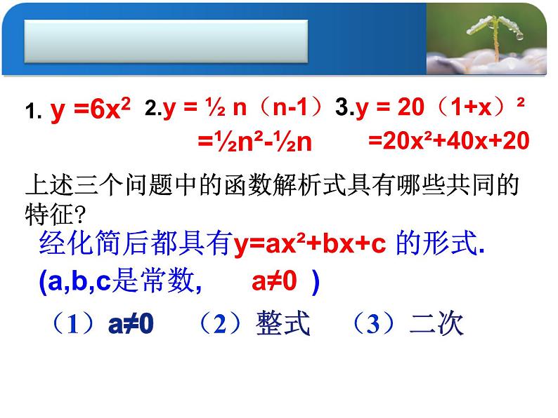 22.1.1二次函数教学课件-2021-2022学年人教版数学九年级上册06