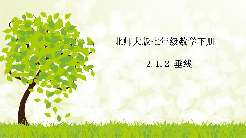 北师大版七年级数学下册 2.1.2 垂线 课件加练习01