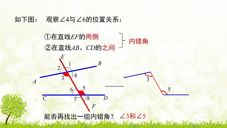 北师大版七年级数学下册 2.2.2  利用内错角、同旁内角判定两直线平行 课件+练习07