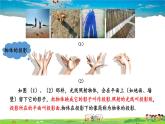湘教版數(shù)學(xué)九年級下冊  3.1 投影  第1課時 平行投影與中心投影【課件】