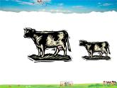 湘教版數(shù)學(xué)九年級上冊  3.3 相似圖形【課件+教案】