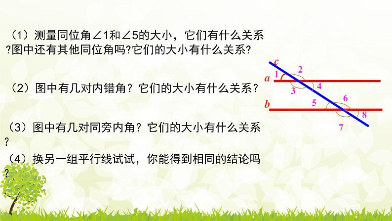 北师大版七年级数学下册2.3.1  平行线的性质  课件+练习07