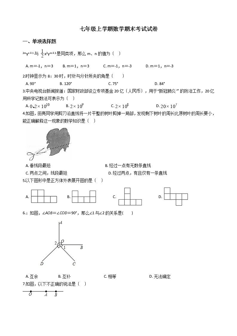 2021年河南省洛阳市伊川县七年级上学期数学期末考试试卷 及答案第1页