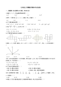 2021年河南省漯河市临颍县七年级上学期数学期末考试试卷及答案