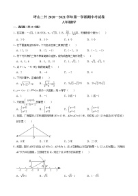 广东省深圳市坪山区第二外国语学校2020-2021学年八年级上学期 期中考试数学【试卷+答案】