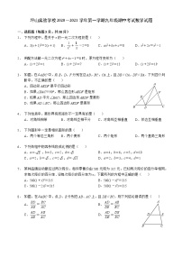 广东省深圳市坪山区坪山实验学校2020－2021学年九年级上学期 期中考试数学【试卷+答案】